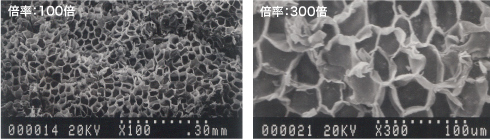 、コルクは微細な気泡の集合体です